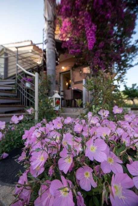 Bougainvillea House 1 Kalamata Dış mekan fotoğraf